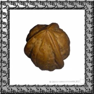 Грецкий орех